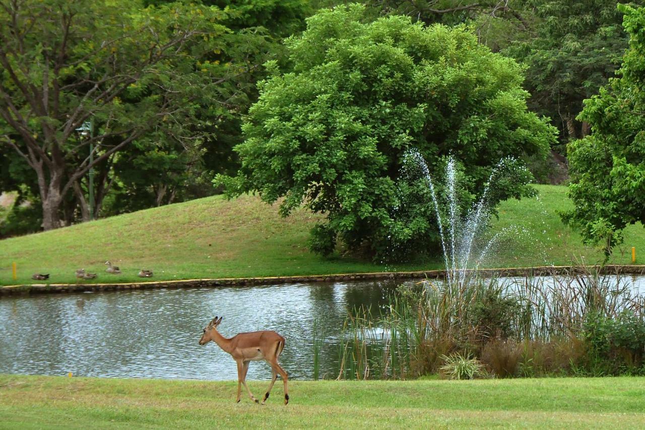 Kruger Park Lodge Unit No. 543 هازيفيو المظهر الخارجي الصورة